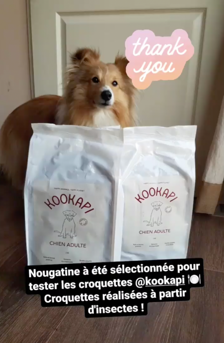  création d'ugc instagram des utilisateurs  de kookapi