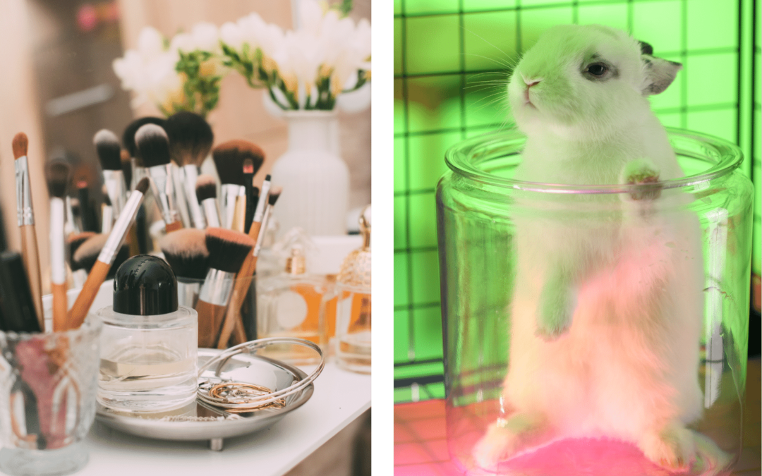 The Ban on Animal Testing for Cosmetics