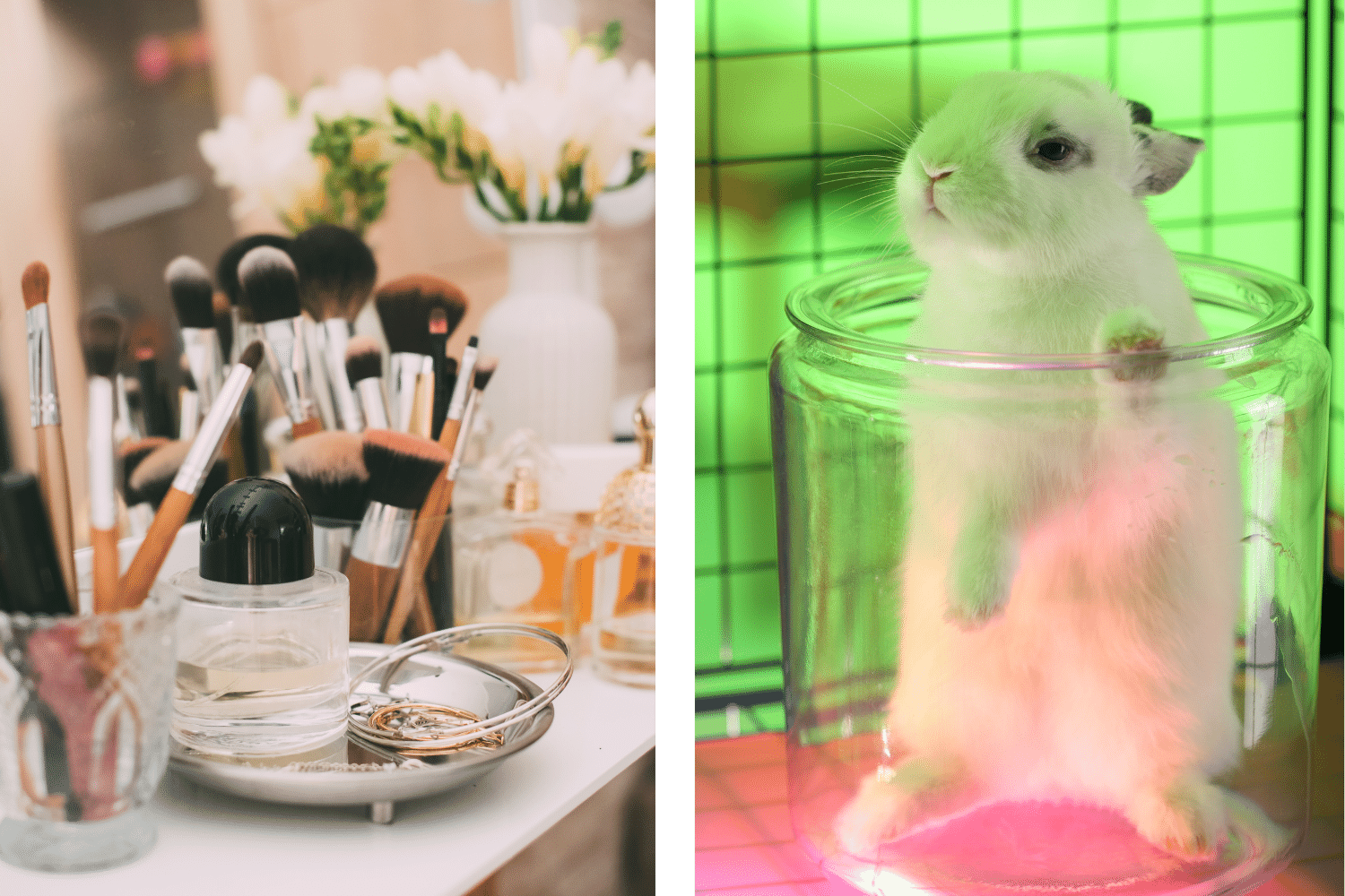 réglementation animale dans la cosmétique