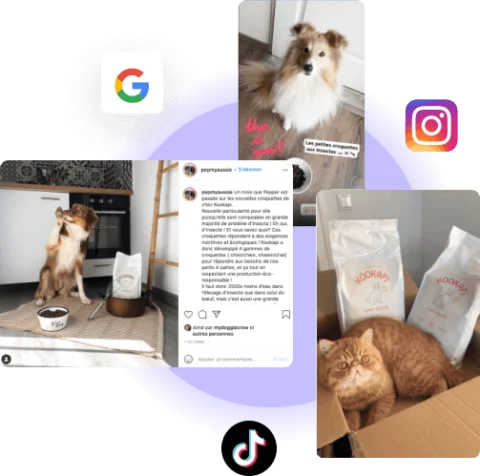 identification des influenceurs